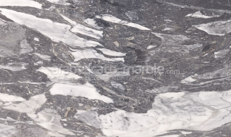 Arabescato Grey marble